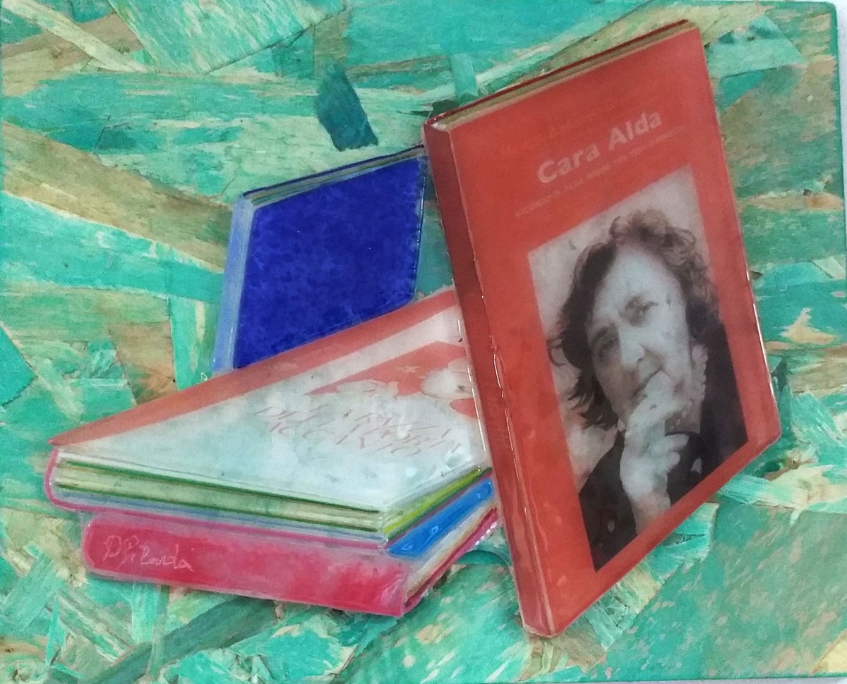 Merini libri azzurro